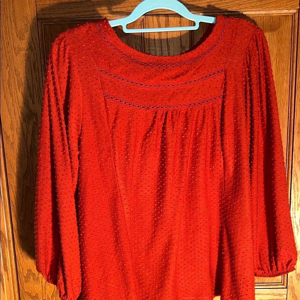 Elegant Rust colored Women's Top